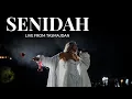 Download Lagu Senidah - Live from Belgrade (TAŠMAJDAN 2024)