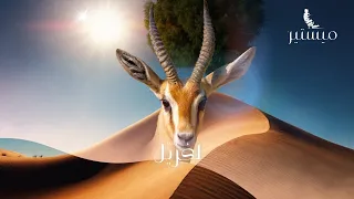 La Ghazelle زفة لغزيل 