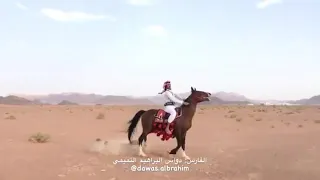الصديق الزين الوفي نعمه من الله دندنها