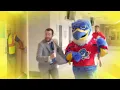 Springfield Thunderbirds Schedule Release