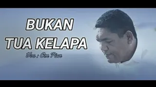 lagu bukan tua kelapa vian bue