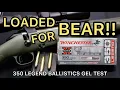 BEAR LOAD 350 Legend Winchester Super-X 180gr Power Point Ammo Test