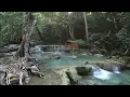 Baby Lullabies and Nature Sounds