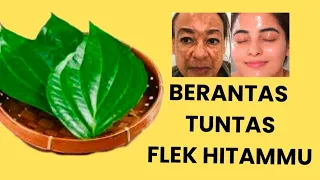 DAUN AJAIB 🌿BERANTAS TUNTAS FLEK HITMMU TANPA OBAT KIMIA!!🔥🔥✅