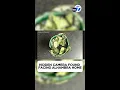 Hidden camera found facing Alhambra home after recent burglary attempt