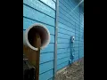 Stop Dog Climbing Wooden Picket fence
