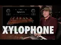 Lagu Xylophone | Soniccouture - This Might Be My Favourite Xylophone Tremolo EVER!