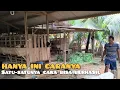 Download Lagu Ini Satu-satunya Jalan Bisa Berhasil❗3 Metode Ternak Kambing Yg Merugikan \u0026 Melelahkan 