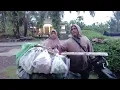 Lagu Suwasana pagi hari di kampung.. Sambil tunggu tukang sayur