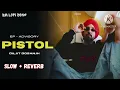 Pistol - Lofi Version | Diljit Dosanjh & Amrit Maan | New Punjabi Song | BM Lofi Song