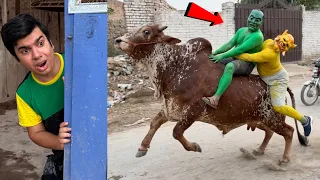 Colourful Bhoot Bull Ko Chori Kr Gea 😨