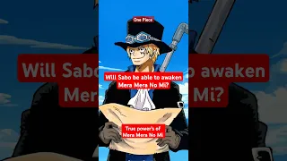 Has Mera Mera No Mi Finally Awakened One Piece Onepiece Anime Luffy 