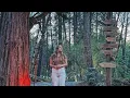 Glamping Near the Redwoods Northern California Road-Trip Episode 2