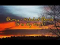 Buray - Kabahat Bende | Türkiye | Turkish Song Lyrics and Subtitles