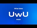 What does UwU mean