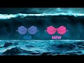 The Evolution Of The Mermaid Seashell Bra November 18th 1989 To October 24th 1993