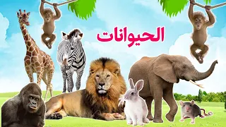 أسماء الحيوانات للاطفال أصوات وأشكال الحيوانات البرية Wild Animal Sounds 