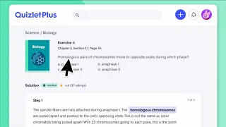 Introducing Quizlet s new AI-powered features