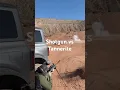 Shotgun VS Tannerite Challenge Will It Work