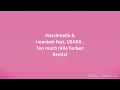 Usher - Too Much ft. Marshmello & Imanbek (Alle Farben Extended Remix) [Lyrics]