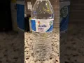 Do you like Acadia Natural Spring Water