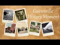 Gainesville History Moment - The City s Environmental History