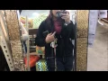 VLOG OLD TIME POTTERY SHOPPING DAY