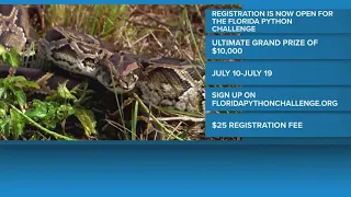 Registration now open for 2026 Florida Python Challenge