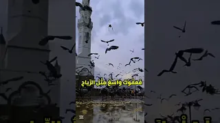 أنا العبد المقصر يا إلهي دندنها