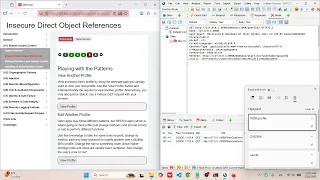 WebGoat - A1 Insecure Direct Object References