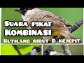 Download Lagu suara pikat kutilang ribut kombinasi kutilang kejepit #pikatburung