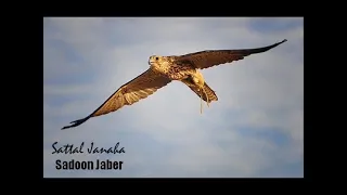 الفنان     سعدون جابر    ستل جناحه   التسجيل الرسمي دندنها