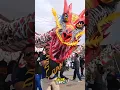 Download Lagu ular naga barongsai terbesar nih teman teman 🙈 #karnaval #naga #barongsai