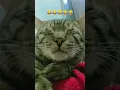 His cute funny snoring