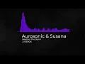Aurosonic \u0026 Susana - Weather The Storm (JUKEBOX)