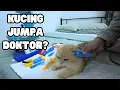 Download Lagu MAIN DOKTOR2 DENGAN KUCING AKU/ TENGOK REAKSI KELAKAR