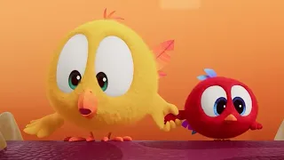 Little Adventurers! | Where's Chicky? | Cartoon Collection in English for Kids | New episodes