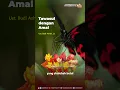 Download Lagu Tawasul dengan Amal - Ust. Budi Ashari, Lc
