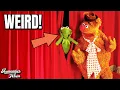 The Muppet Show 1976 15 Weird Facts You Didn t Know