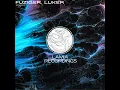 Stars - FUZIGER & Luker