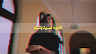                                              لا شيء يزعجني   تحية لسينابتيك دندنها