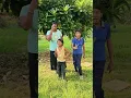 Download Lagu Saiya ki Banduk 🥰❤️||# Vinod Anshu family#dance #song #youtubeshorts #dance #shorts #shortvideo