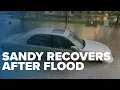Sandy begins cleanup recovery efforts after damaging flood
