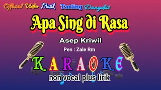 Download APA SING DIRASA karaoke tarling dangdut Pantura (Asep Kriwil) MP3