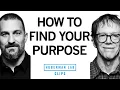 Download Lagu How to Find Your Purpose | Robert Greene \u0026 Dr. Andrew Huberman