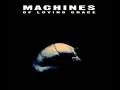 05 Machines of Loving Grace - Butterfly Wings