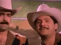 Los Tucanes De Tijuana - Mis Tres Animales