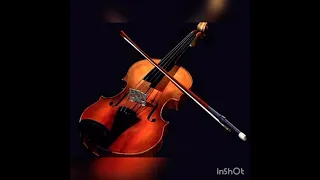 مالى وأنا مالى وردة بليغ حمدي توزيع موسيقى محمد جمال الدين دندنها