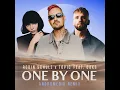 One By One (feat. Oaks) (Andromedik Extended Remix)