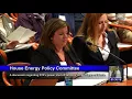 DTE Shut-Off Hearing 18 House Energy Committee Smart Meter Education Network